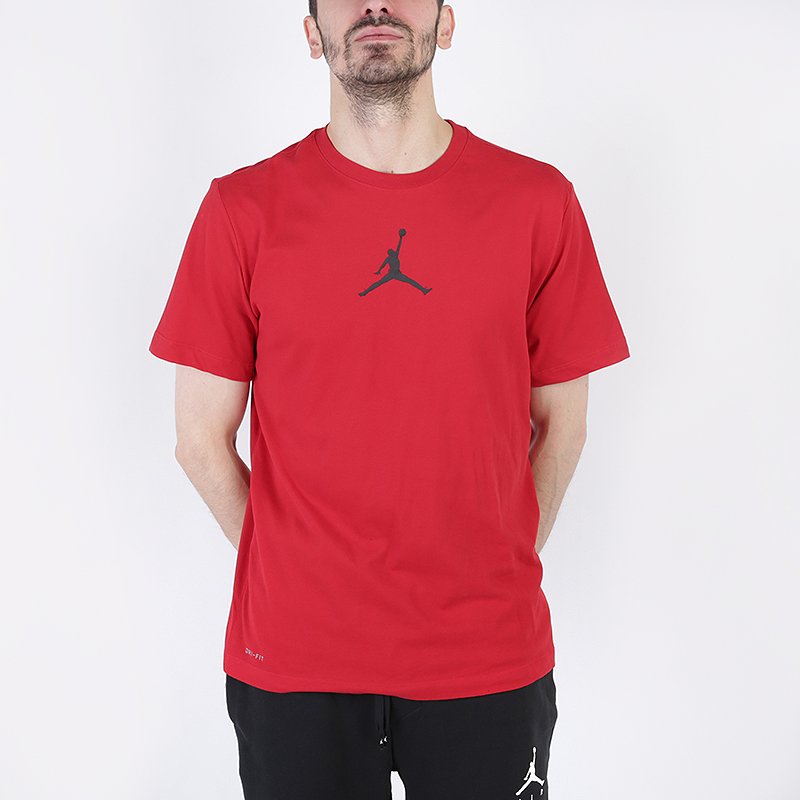 Мужская футболка Jordan Jumpman Logo (BQ6740-687)  - цена, описание, фото 1